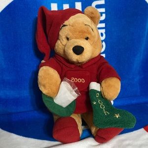 2000 Winnie the Pooh winter plush